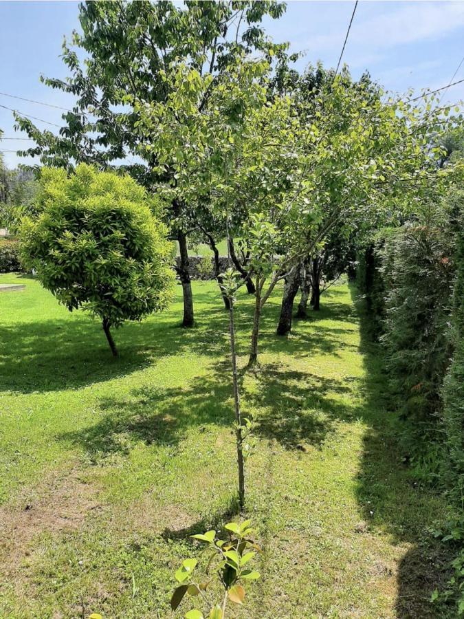 Villa La Pescal à Arriondas Extérieur photo